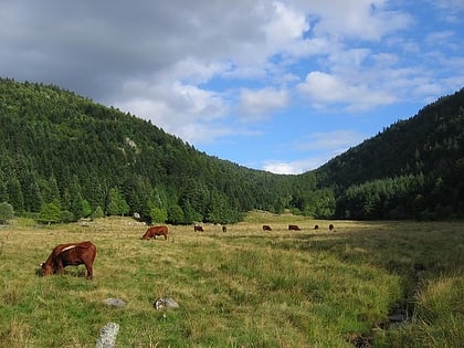 Regionaler Naturpark Livradois-Forez