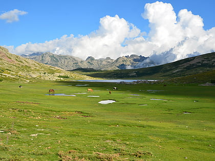 regionaler naturpark korsika