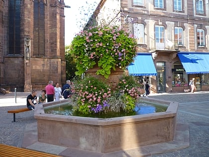 fontaine place saint georges a haguenau