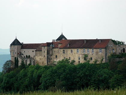 chateau de belvoir