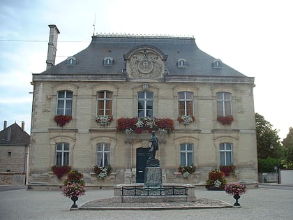 statue de napoleon brienne le chateau