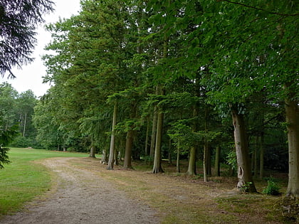 arboretum dharcourt