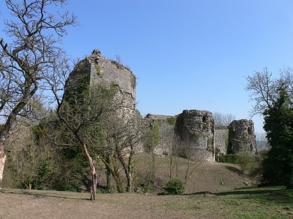 chateau de preny