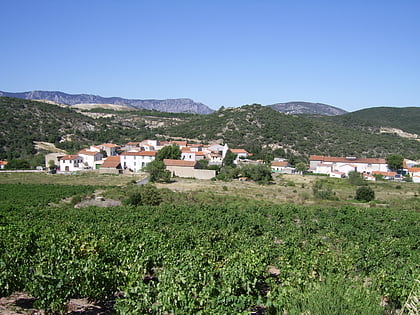 Côtes du Roussillon AOC
