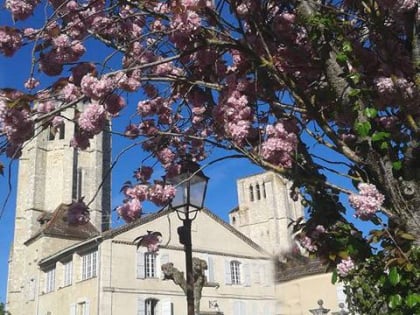 collegiale saint pierre la romieu