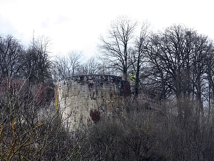 Château de Vignory