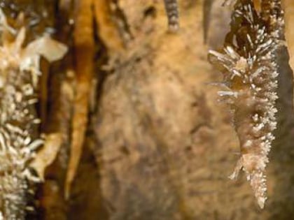 les grottes de maxange le buisson de cadouin