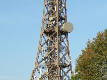 metallic tower of fourviere lyon