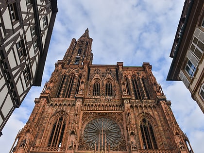 katedra najswietszej marii panny strasburg