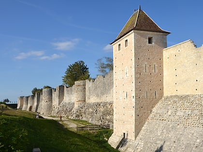 the eagles of the ramparts provins