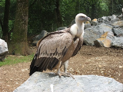 zoodyssee villiers en bois