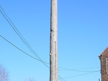 croix du mesnil sauvage