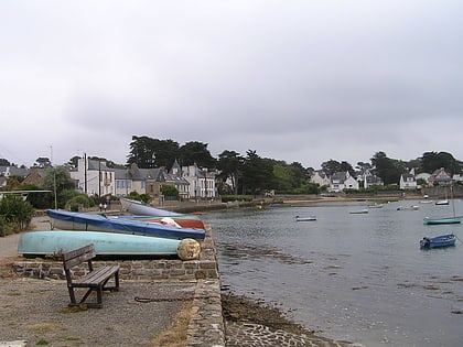 larmor baden