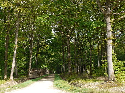 forest of rambouillet