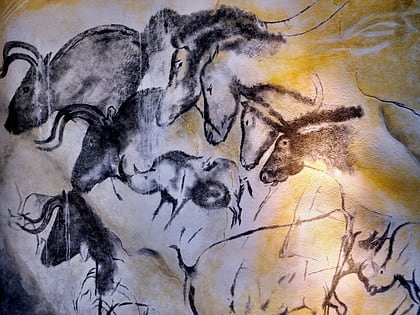 chauvet cave