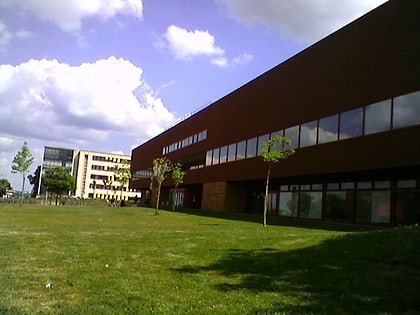 Université du Mans