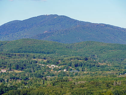 la planche des belles filles ballons des vosges nature park