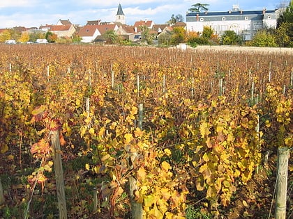 Romanée-saint-vivant