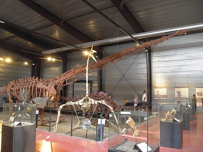 dinosauria museum esperaza