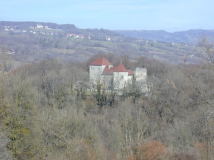 chateau de sallenoves