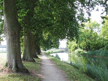 canal dorleans orlean
