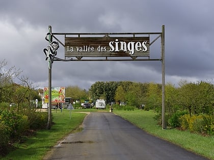 Vallée des singes