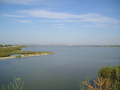 etang du mejean