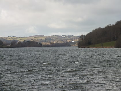 Lac de Villefranche-de-Panat