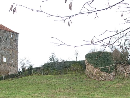 Château de Dyo