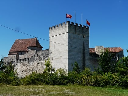 chateau de grignols