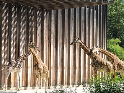 Jardín zoológico de Lyon