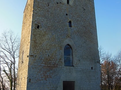 chateau de poyaller