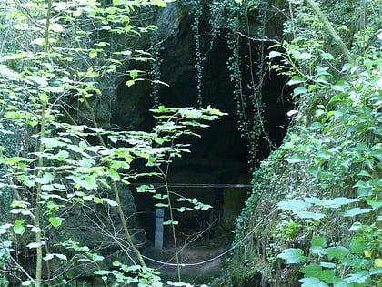 grotte de fontechevade