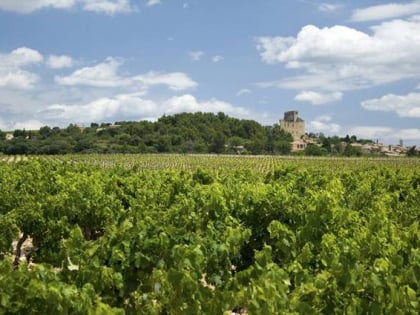 chemin de boursan chateauneuf du pape