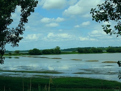 Saint-André-de-Seignanx