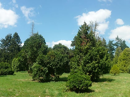 arboretum de chevreloup versailles