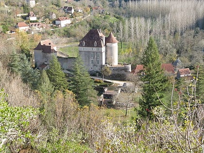 chateau de geniez sauliac sur cele