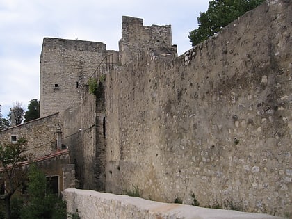 castillo de adhemar montelimar
