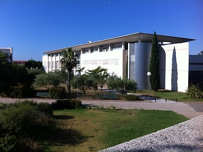 university of toulon tolon