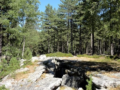 foret de retz villers cotterets