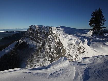 Mont d’Or