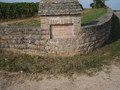 musigny aoc vougeot