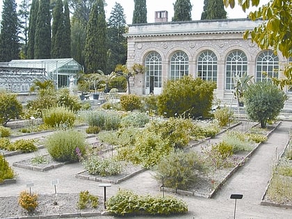 jardin de plantas de montpellier
