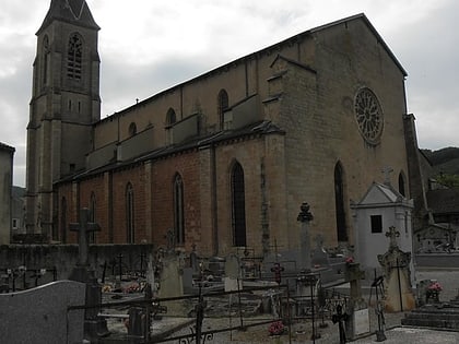 Cathédrale Saint-Sauveur de Vabres-l'Abbaye