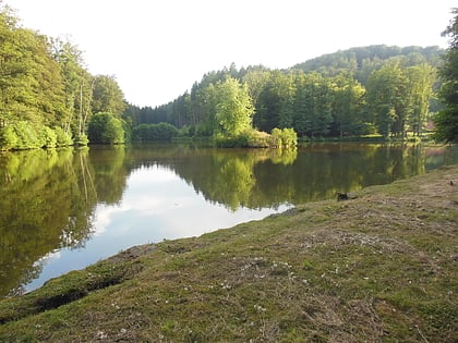 Park Regionalny Wogezów Północnych
