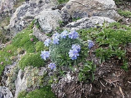 jardin botanique alpin daniella limoges