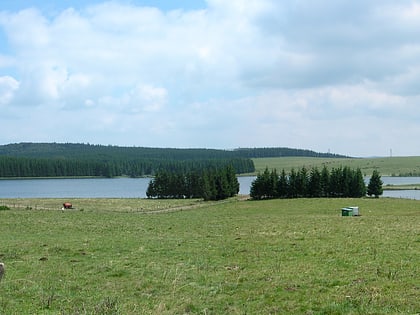 Lac de Bourdouze