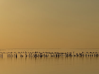 etang de vaccares camargue