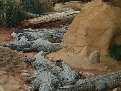 La Ferme aux crocodiles