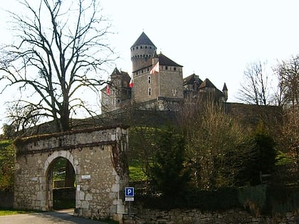 chateau de montrottier annecy
